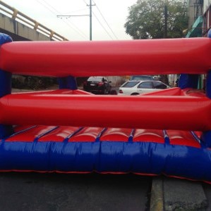inflable ring de box